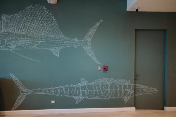 Stencils of popular fish species add a chic touch